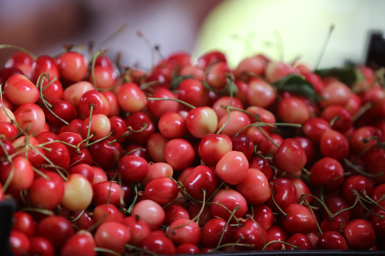 cherry fruit fruits free photo