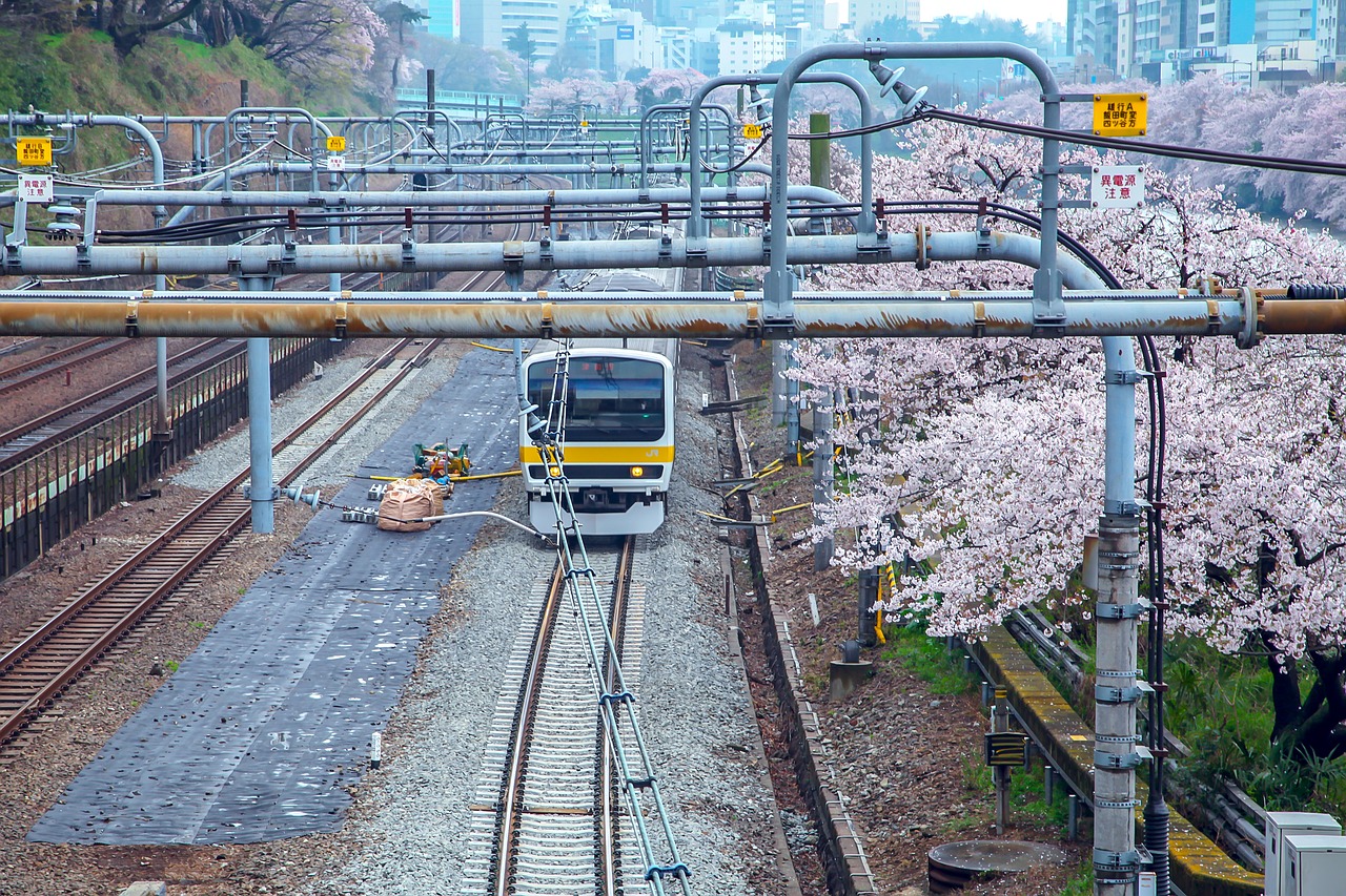 cherry japan electric train free photo