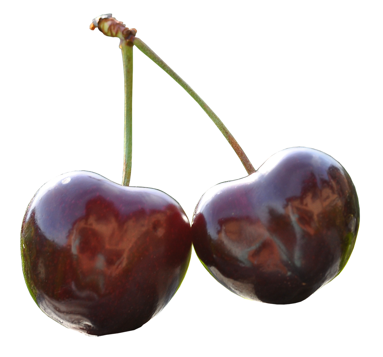 cherry pair fruits free photo