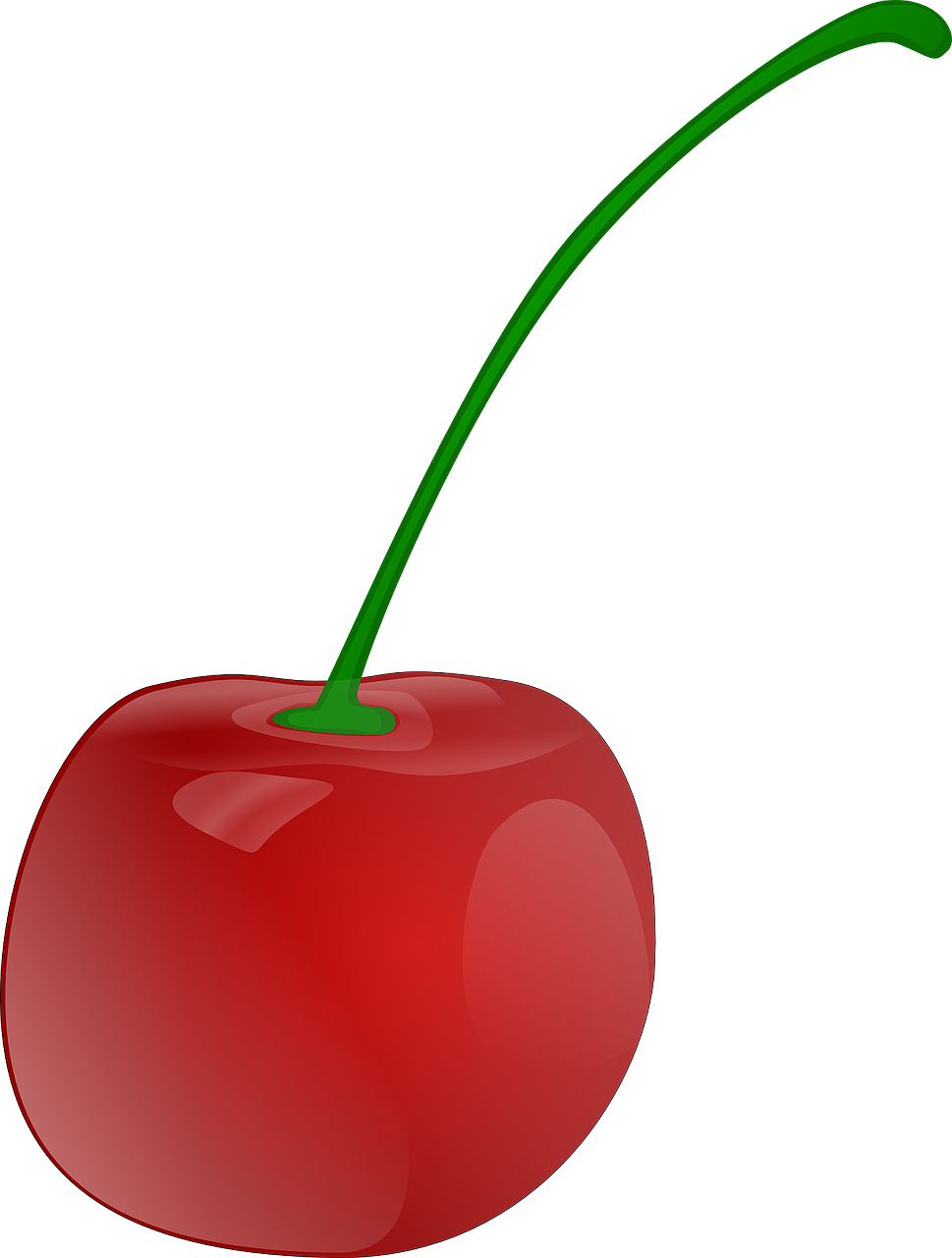 cherry fruit red free photo