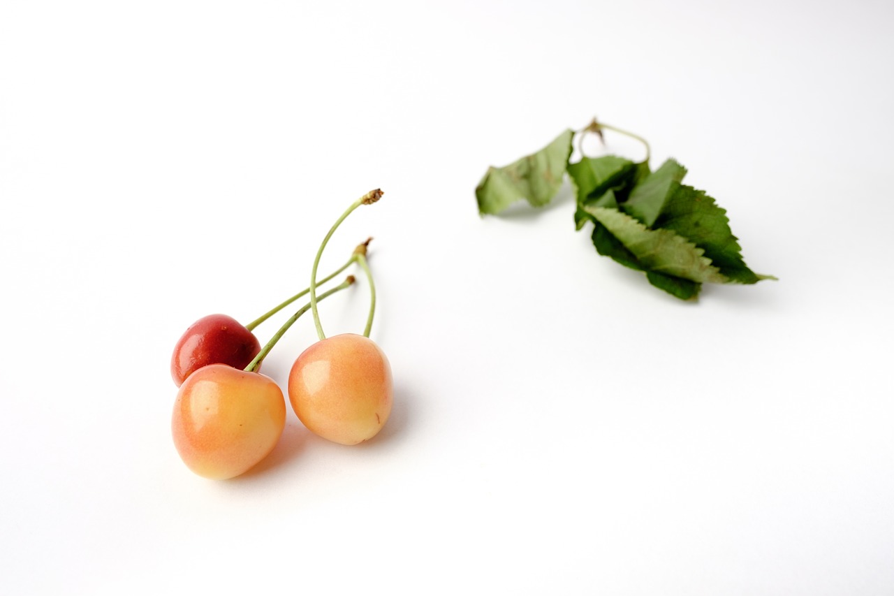 cherry and cherries fruit free photo