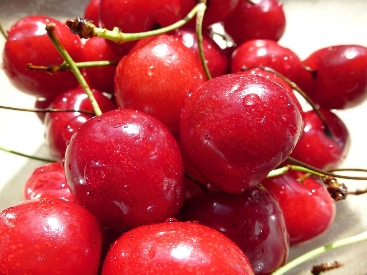 cherry cherries cherry harvest free photo