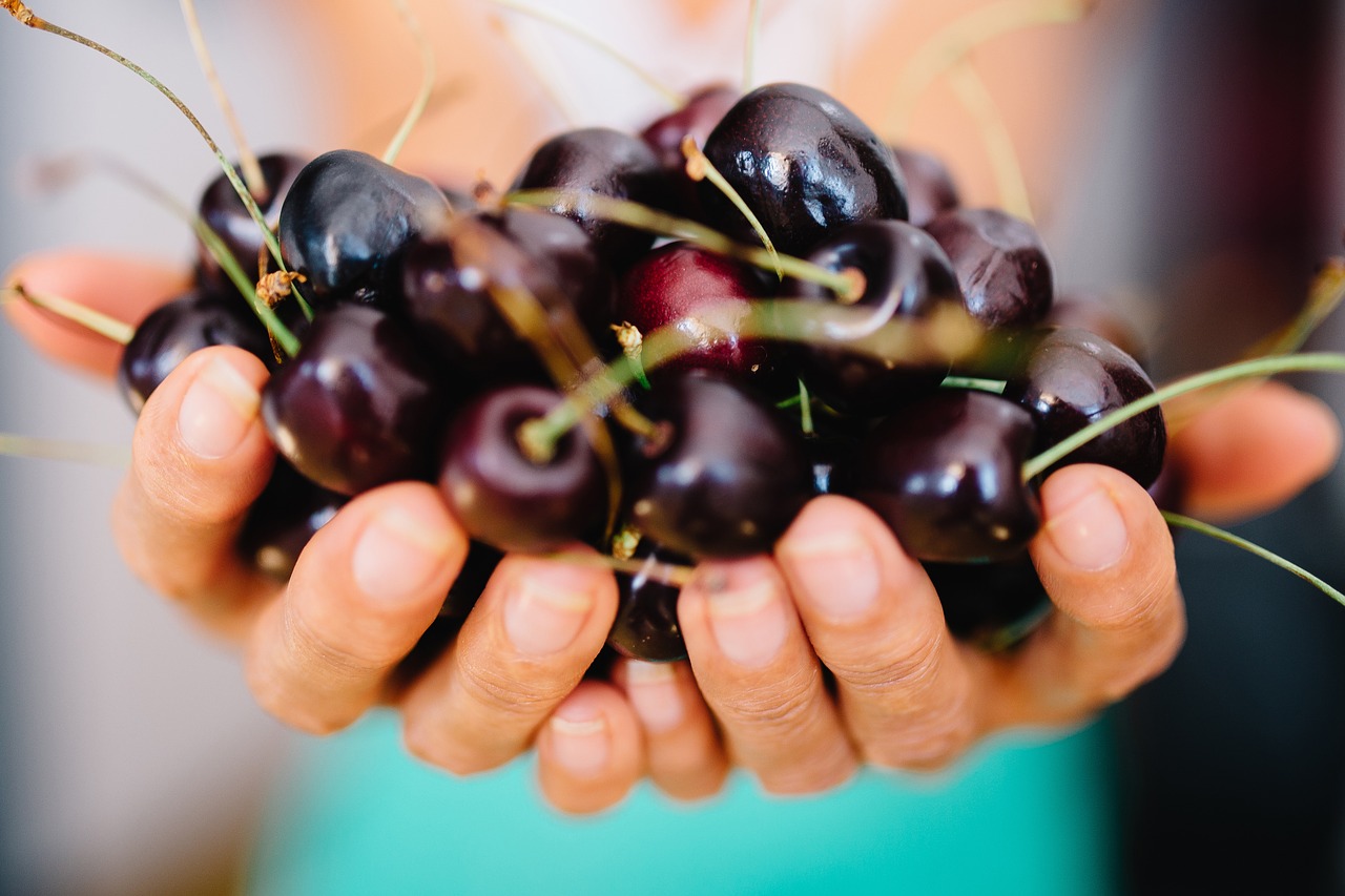 cherry cherries fruits free photo