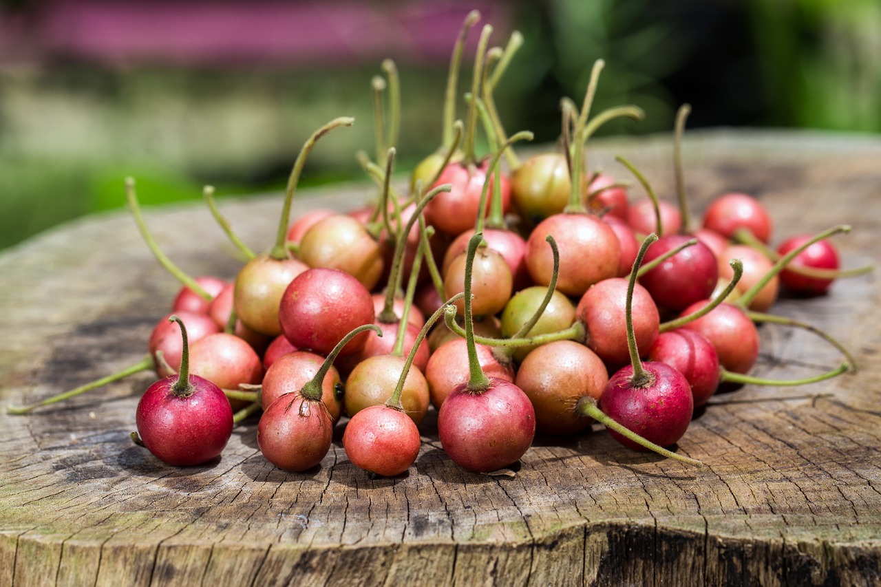 cherry fruit fresh free photo