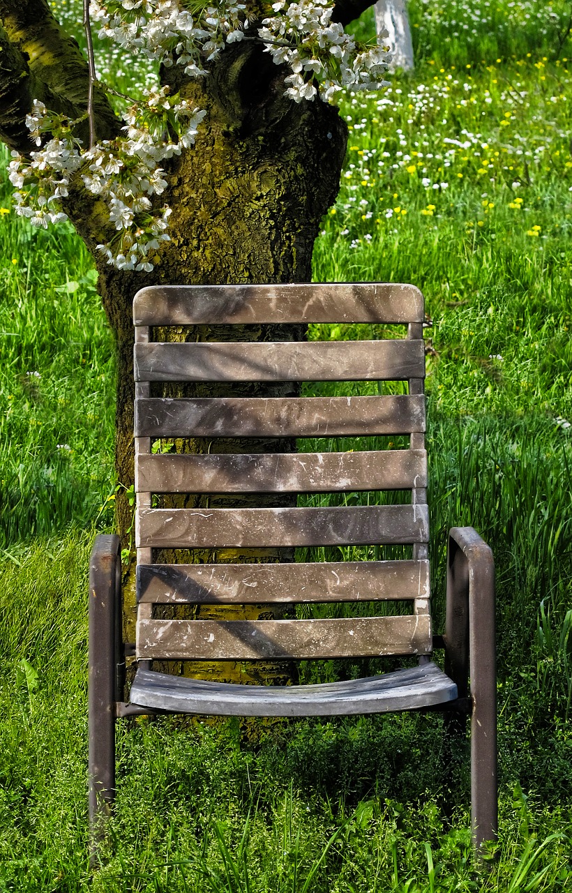 cherry grass garden chair free photo