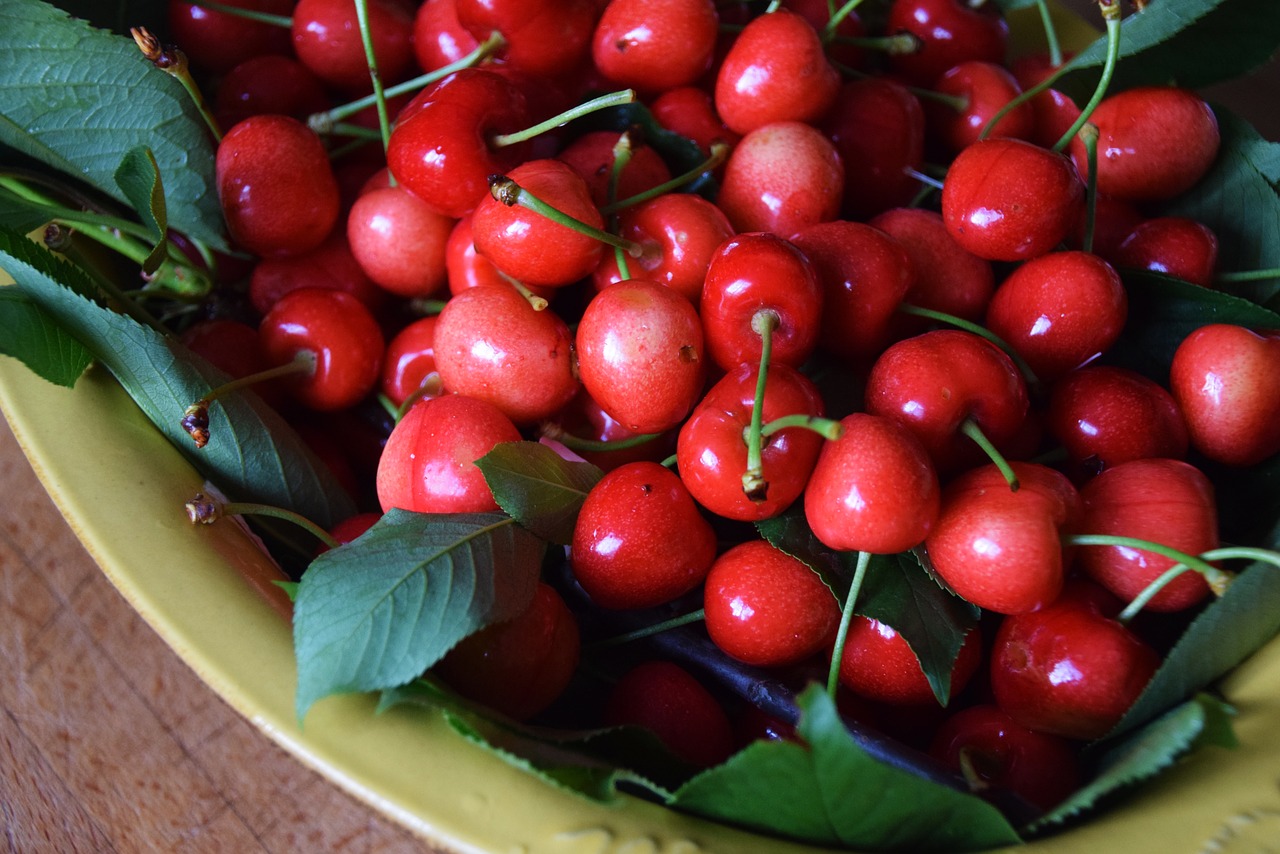 cherry  basket  fruit free photo