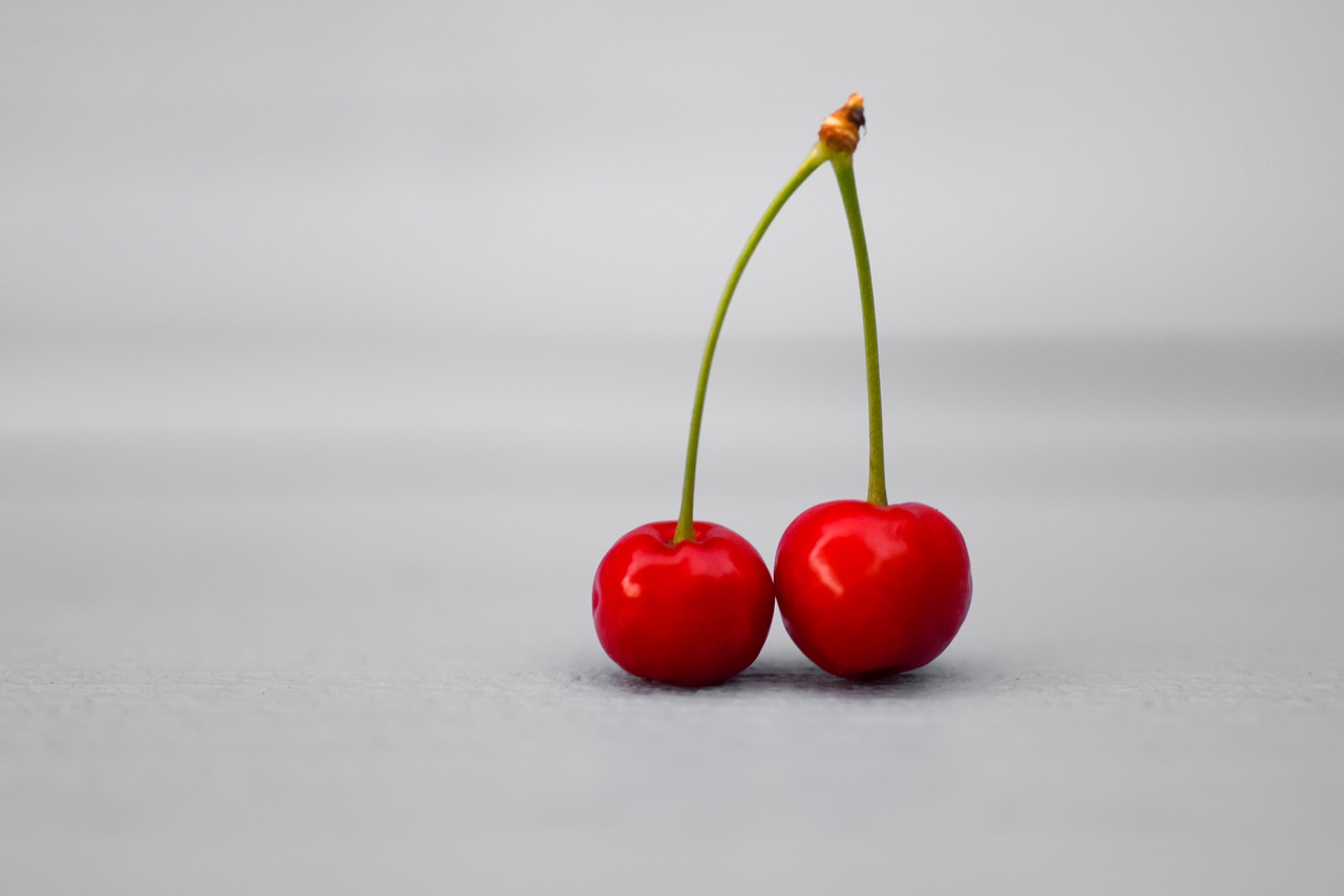 cherry  fruit  red free photo