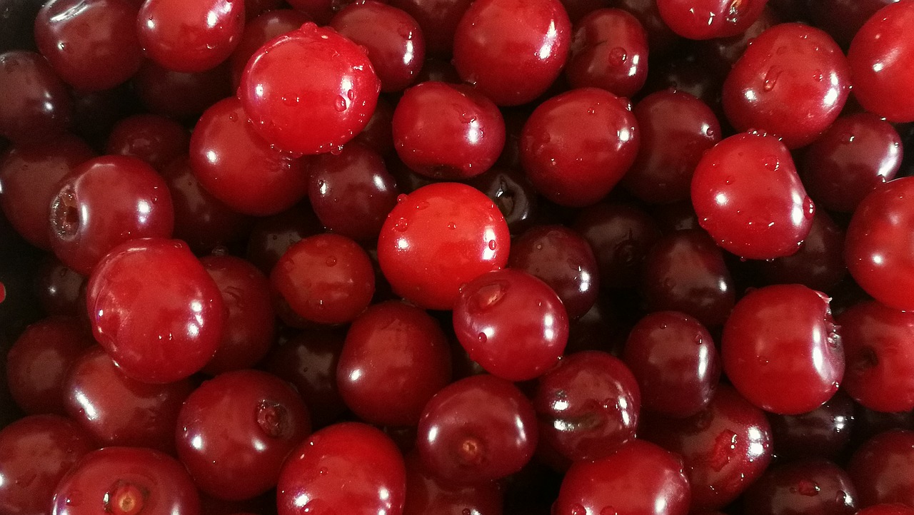 cherry  food  fruit free photo