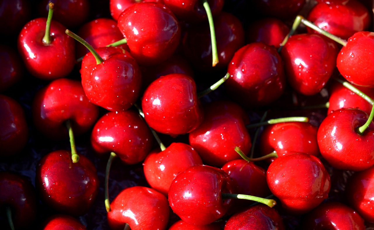 cherry  cherries  red free photo