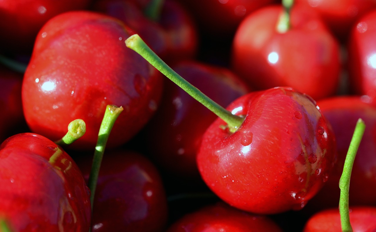 cherry  cherries  red free photo