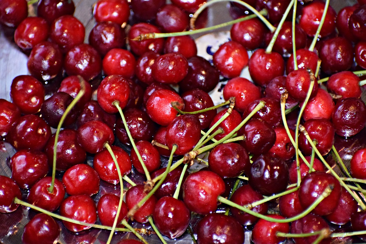 cherry  fruits  cherries free photo