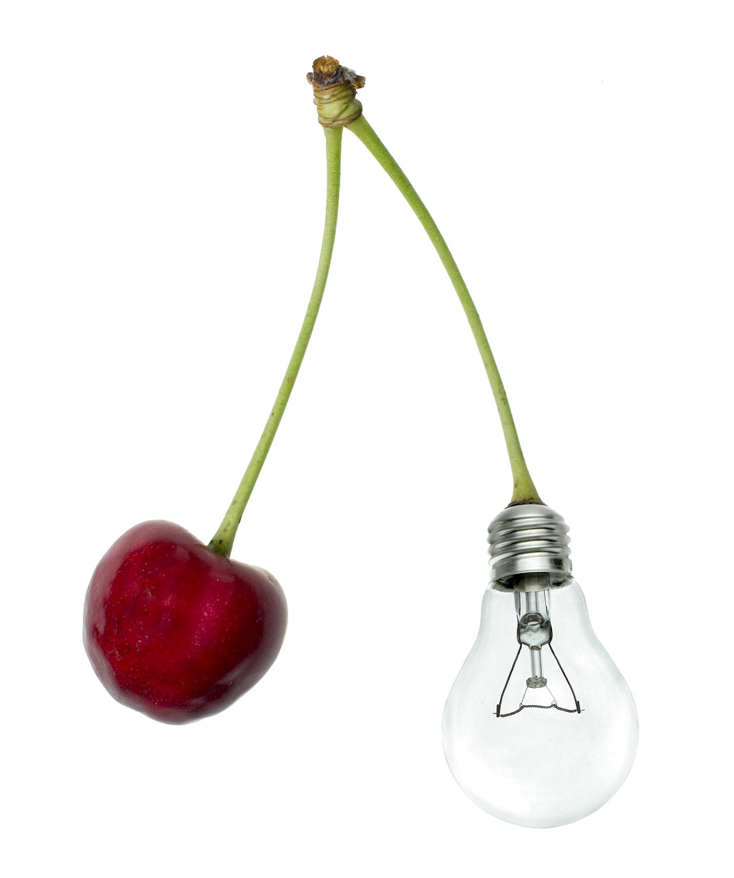 cherry bulb technology free photo