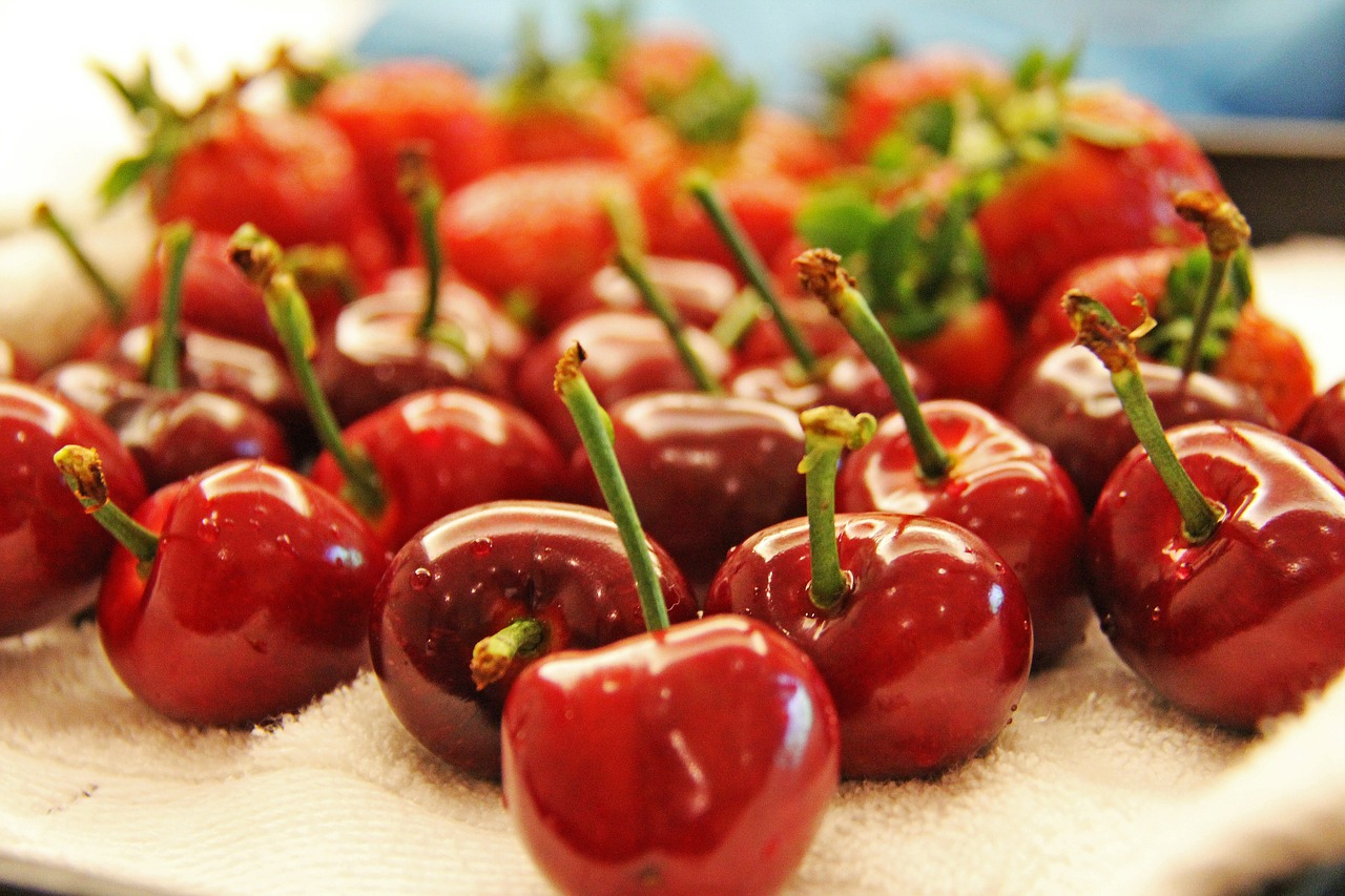 cherry fruits red free photo