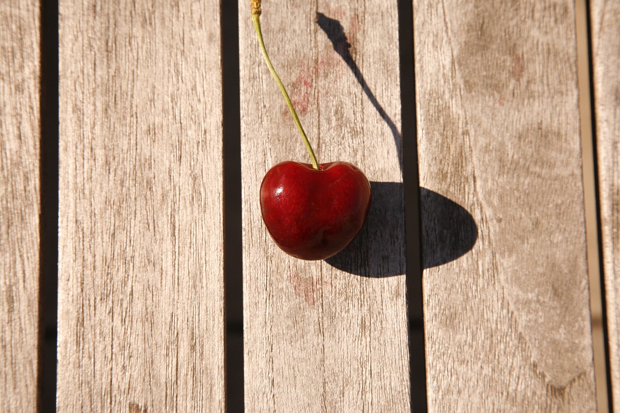 cherry fruit healthy free photo