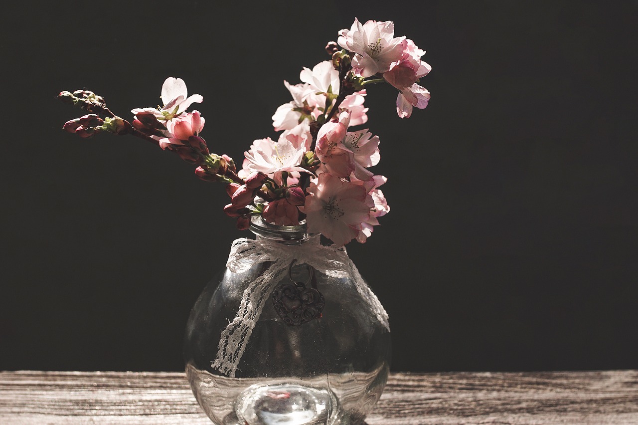 cherry blossoms  branch  pink free photo