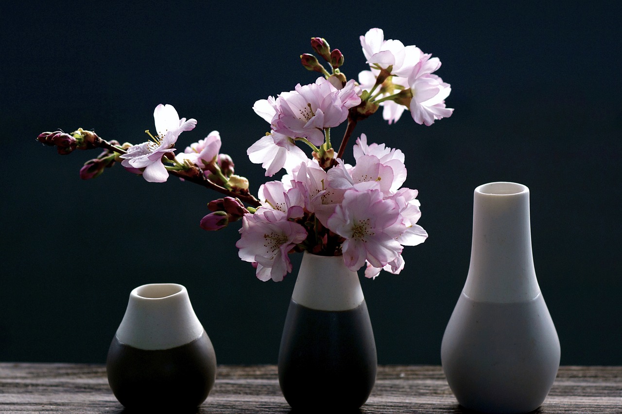 cherry blossoms  branch  pink free photo