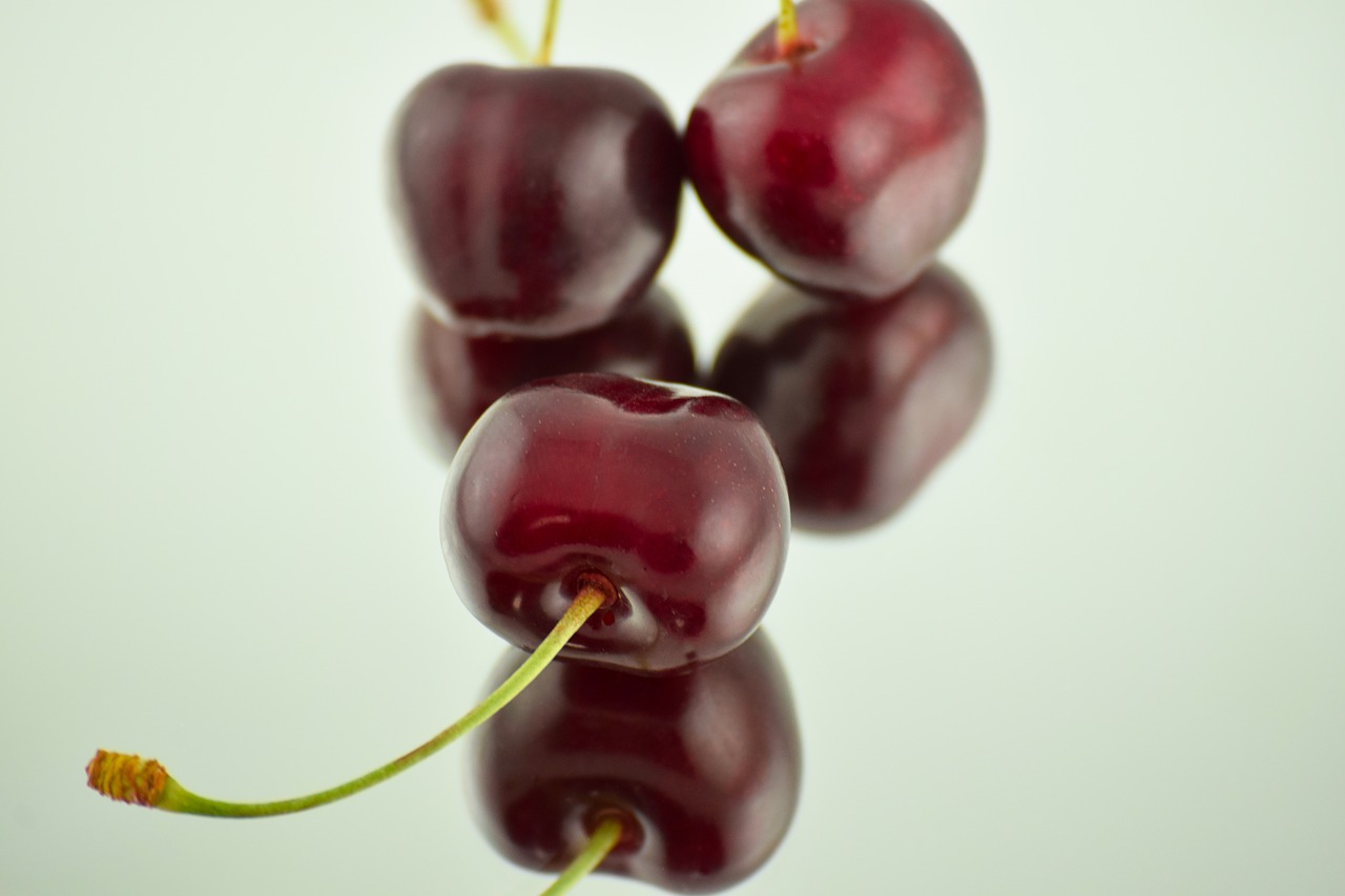 cherry fruit  morning  fresh free photo