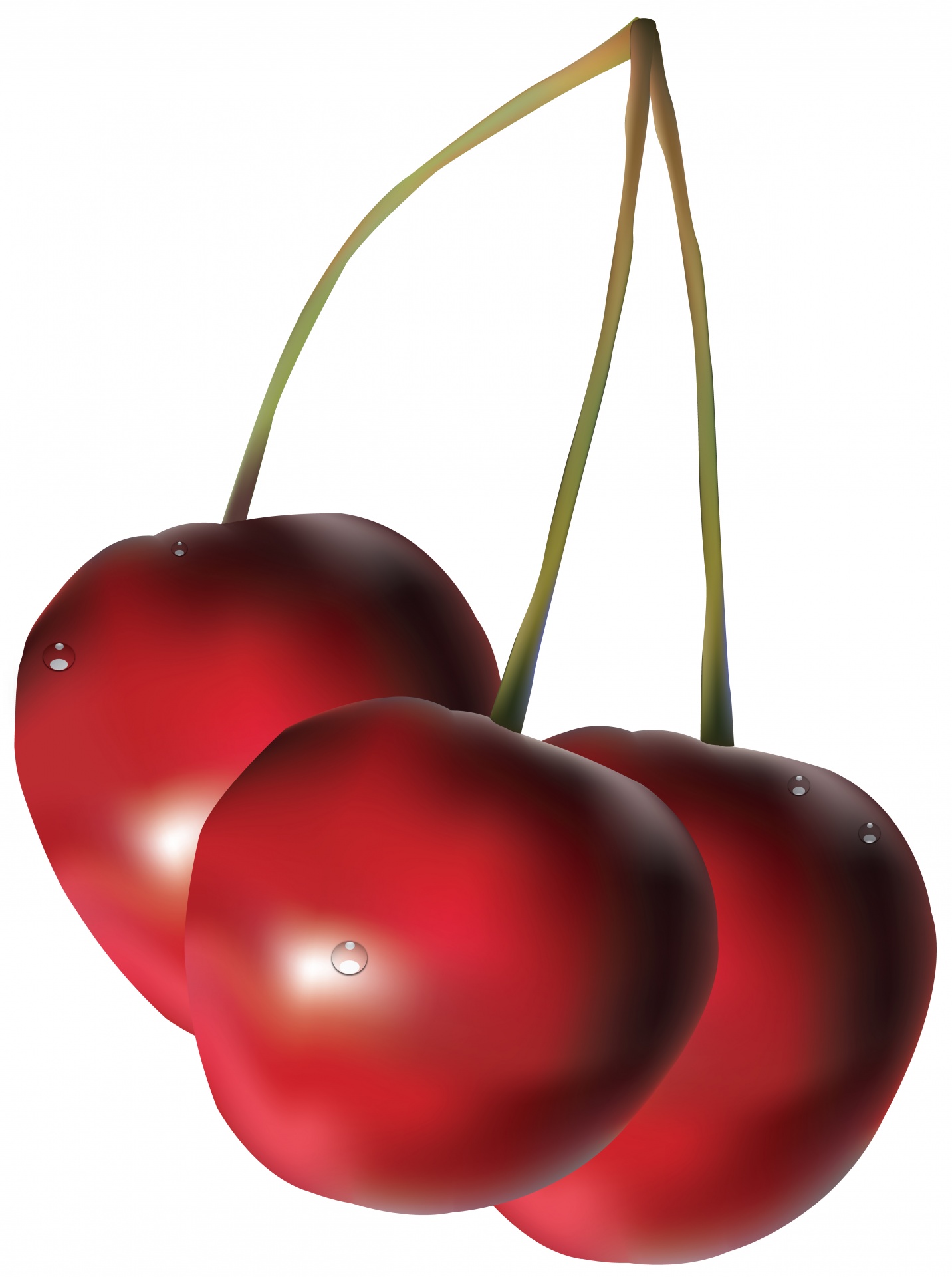 cherry illustration fruit free photo