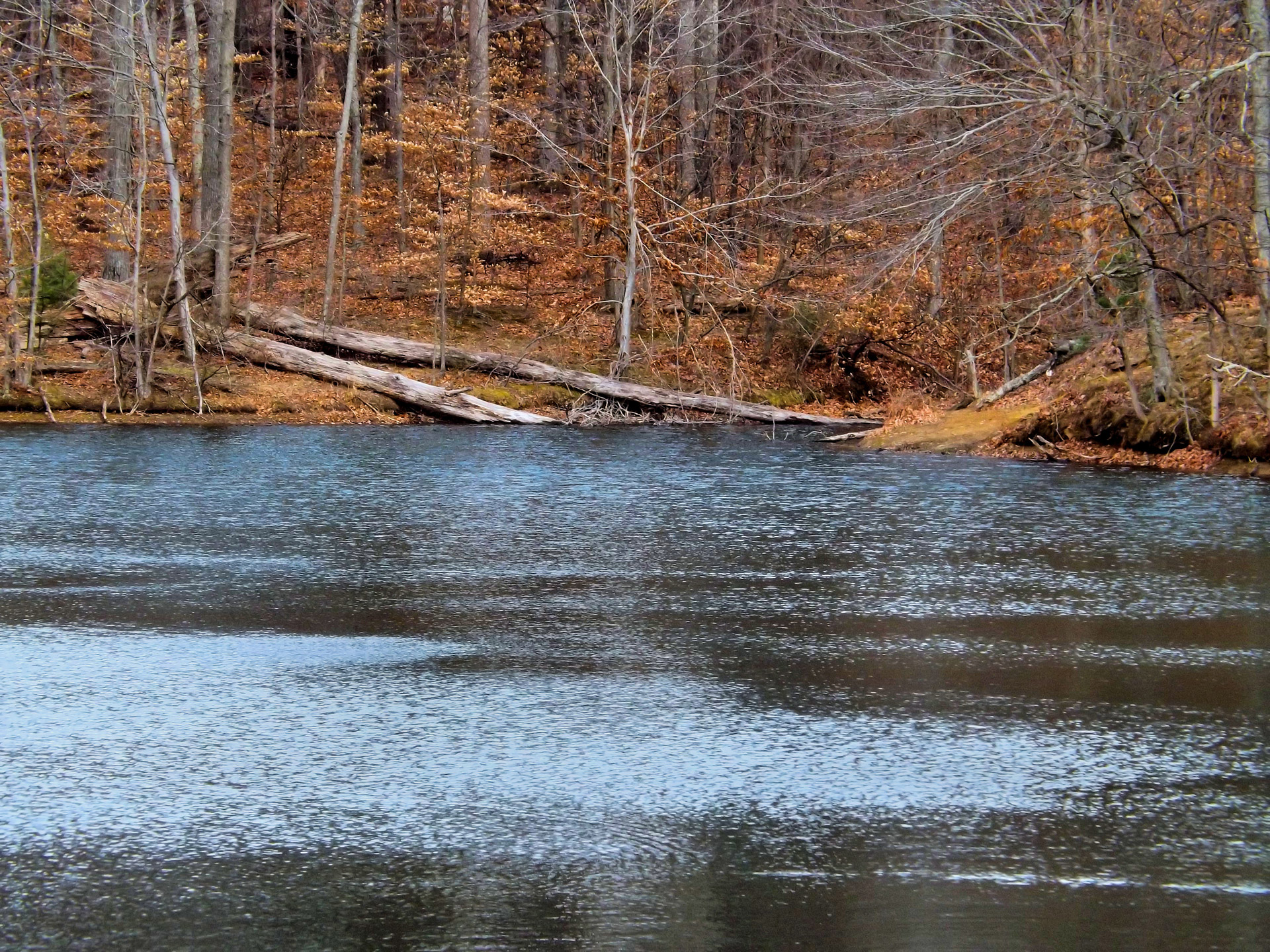 rippling water lake free photo
