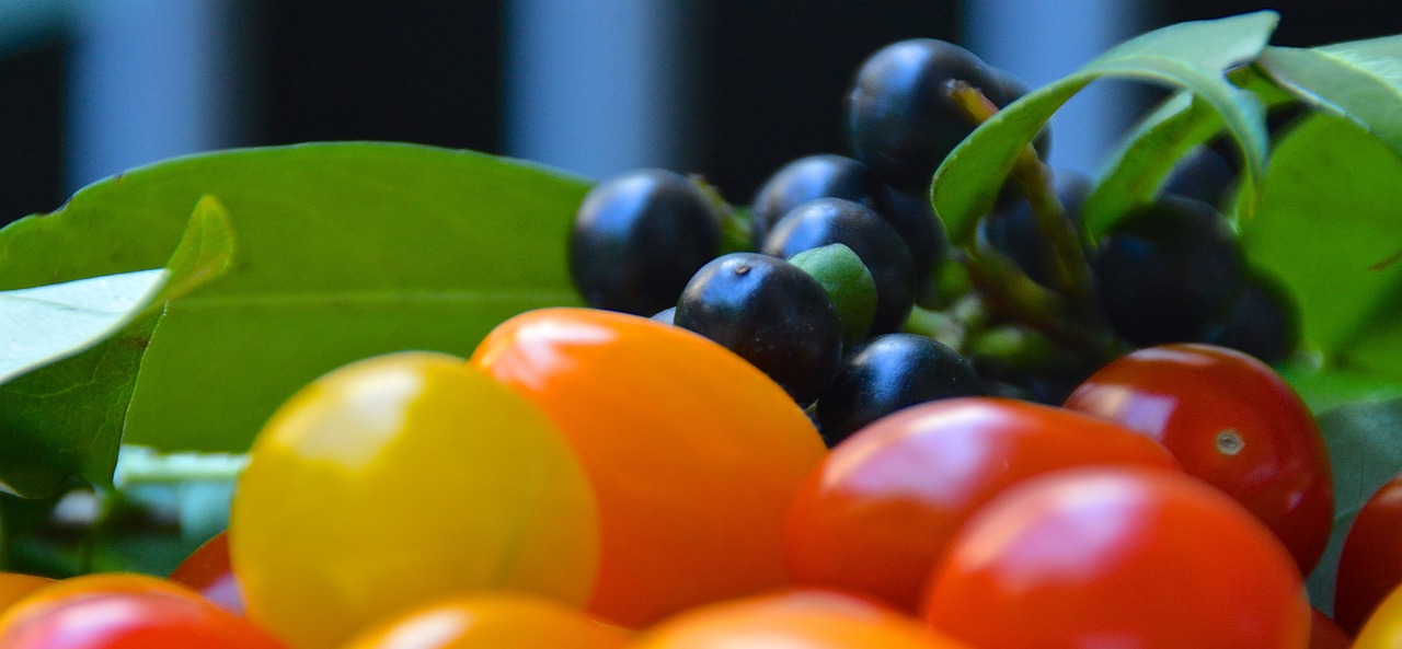 cherry laurel berries tomatoes free photo