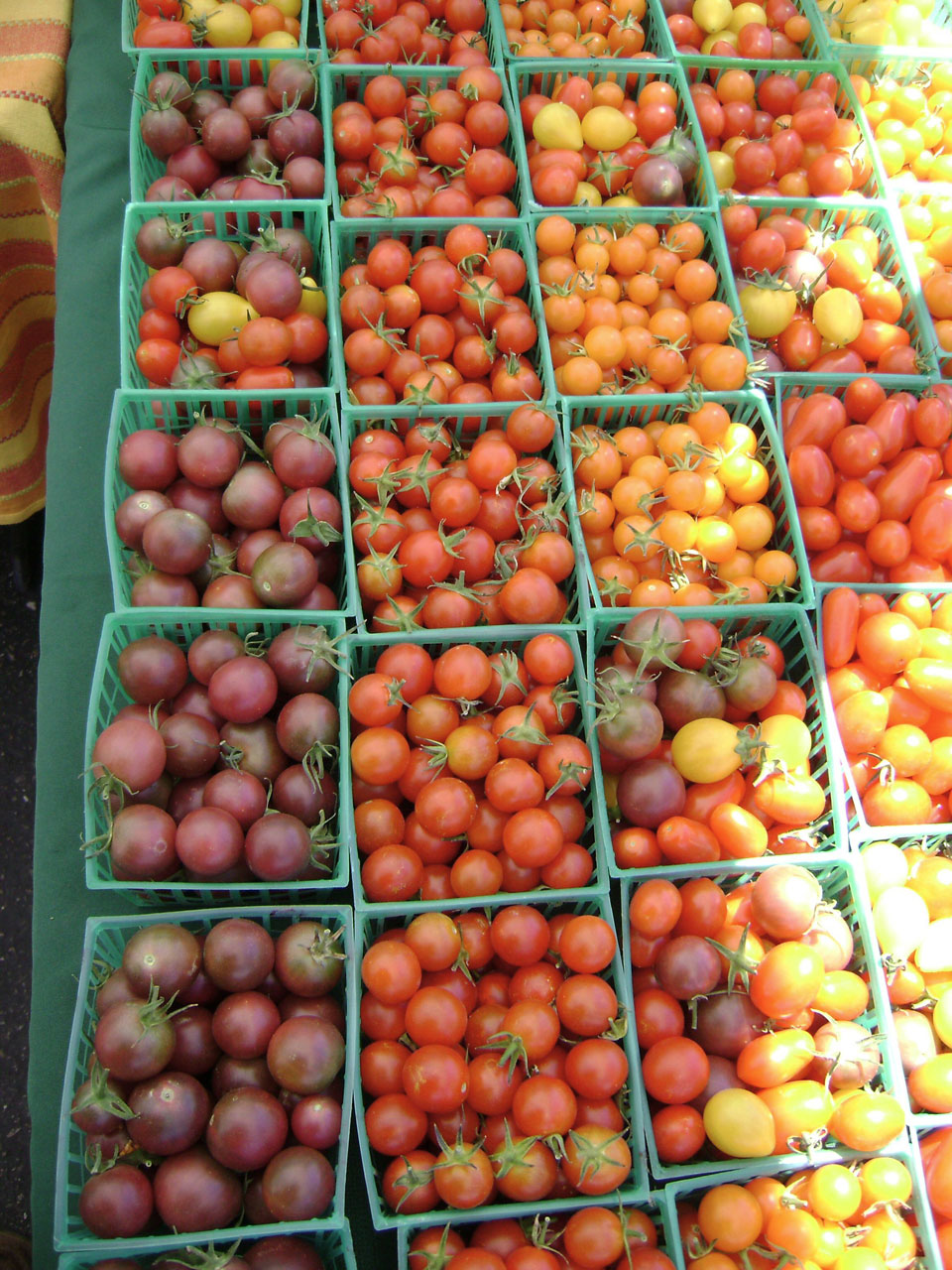 tomato cherry tomato free pictures free photo