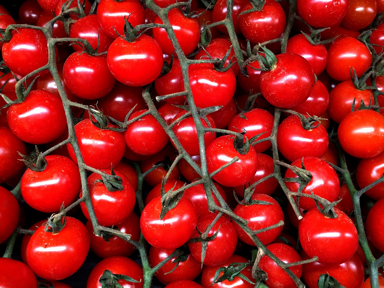 cherry tomato  tomato  vegetable free photo