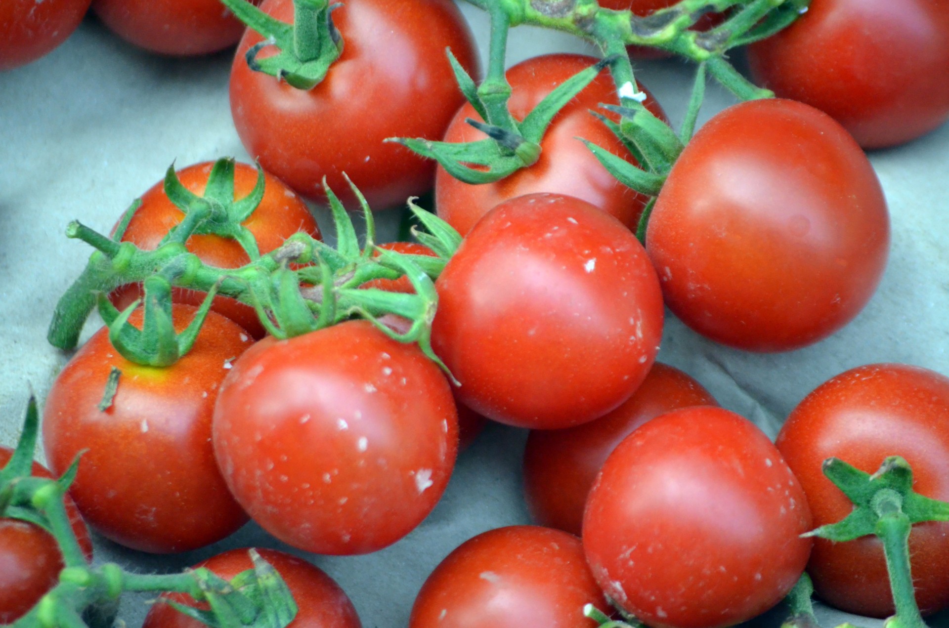 cherry tomatoes tomato vine free photo