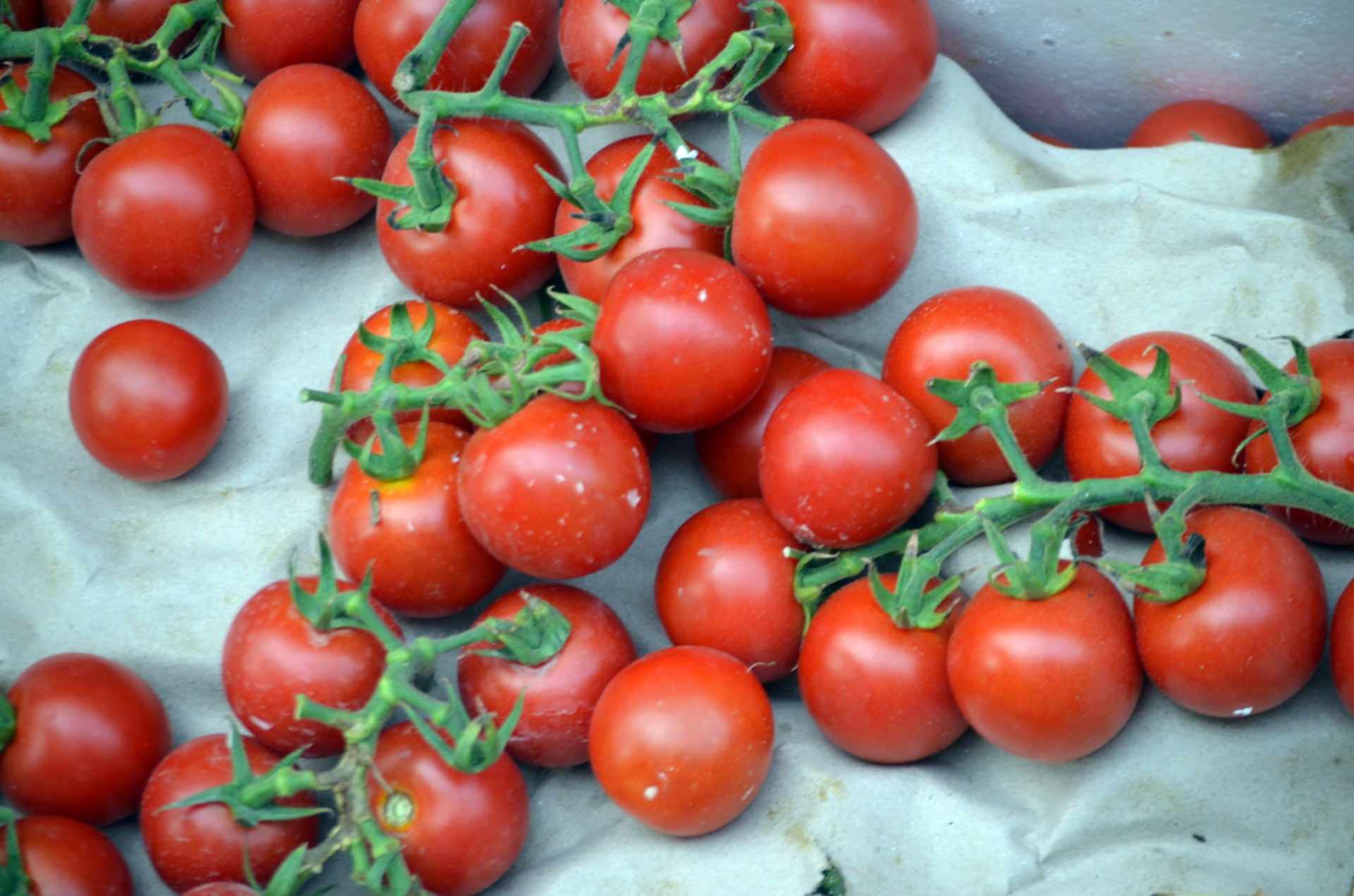 cherry tomatoes tomato vine free photo