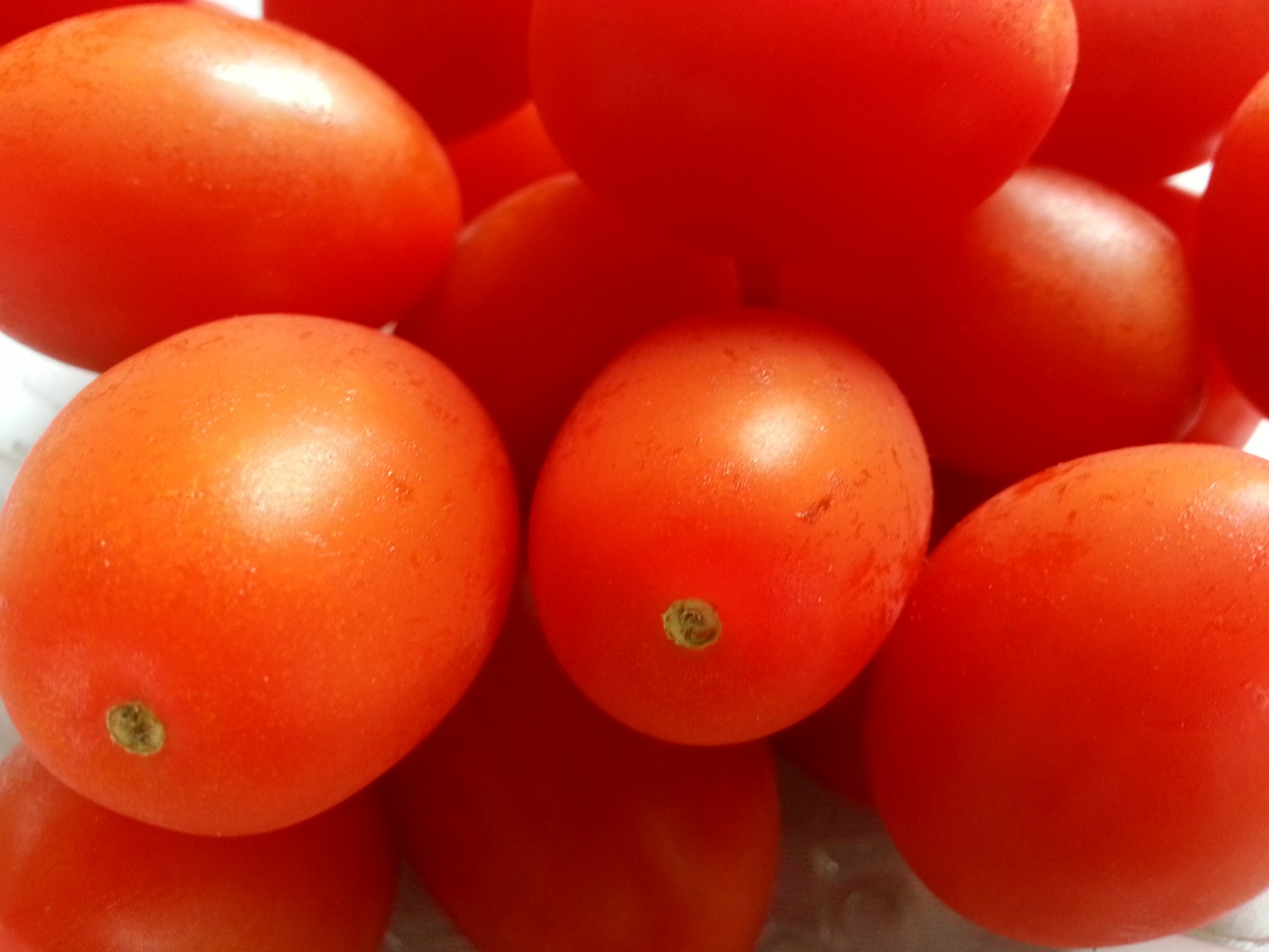tomato tomatoes vegetable free photo