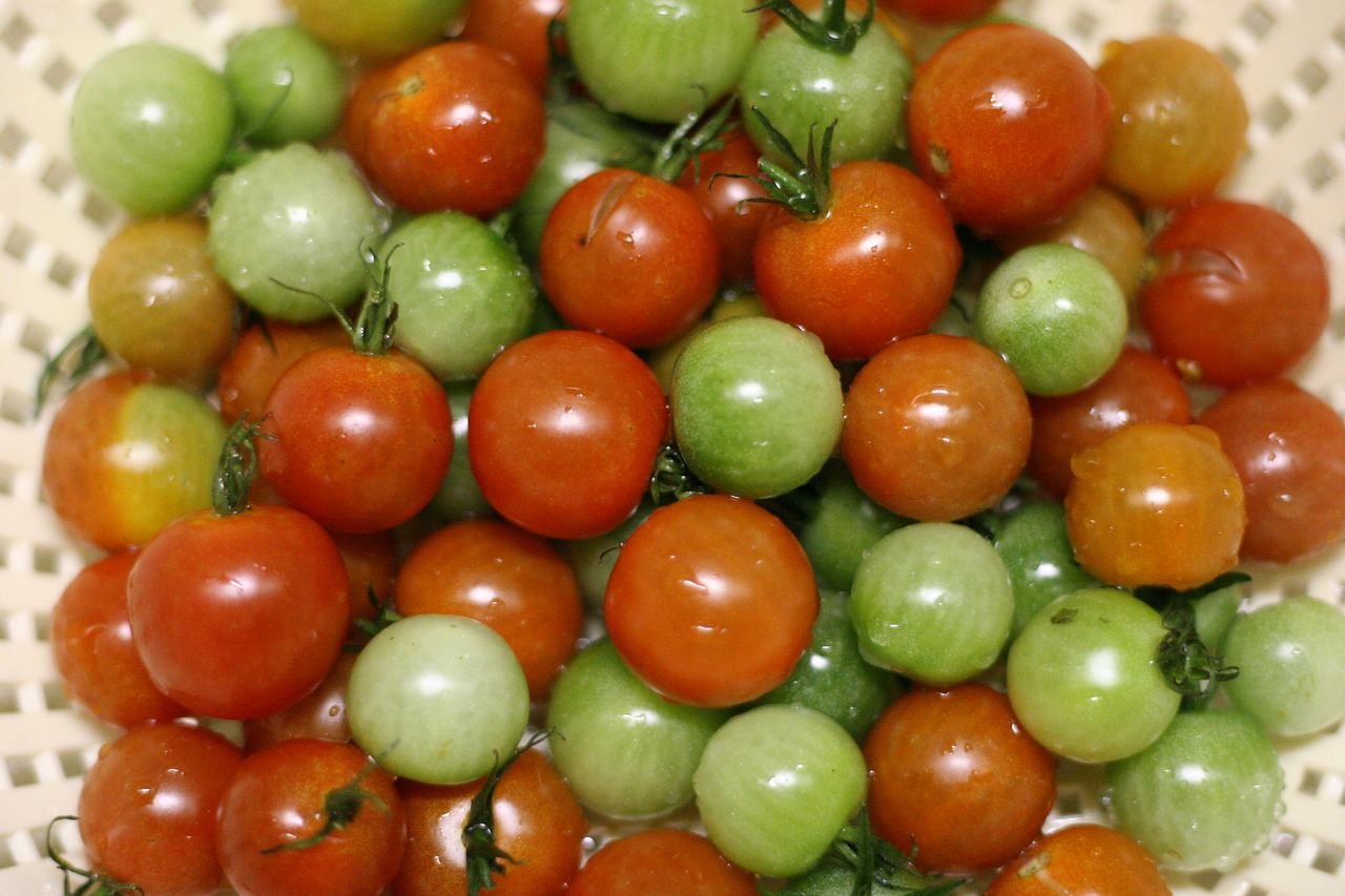 cherry tomatoes green red free photo