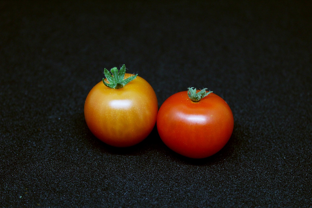 cherry tomatoes tomato vegetables free photo