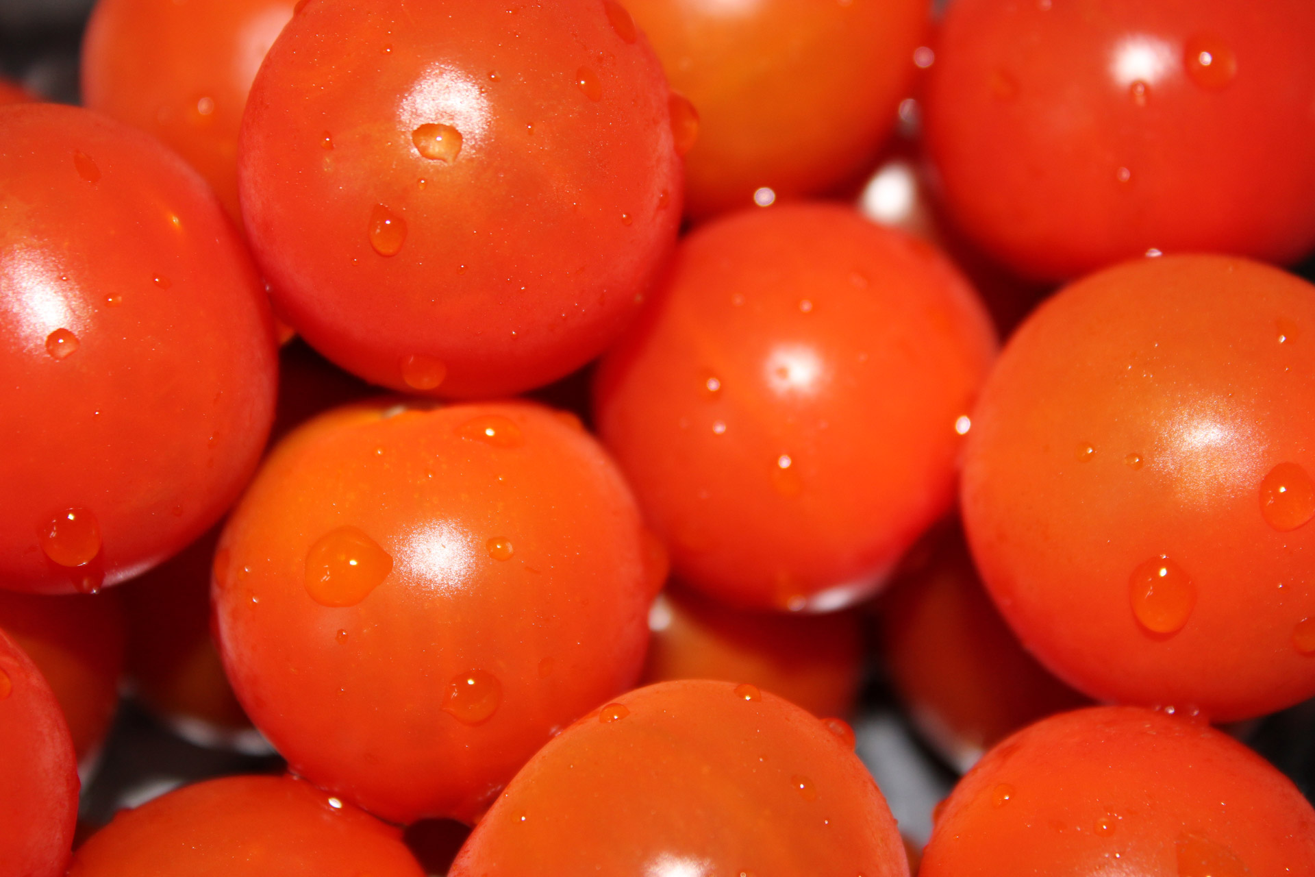 cherry tomatoes tomatoes cherry tomatoes free photo