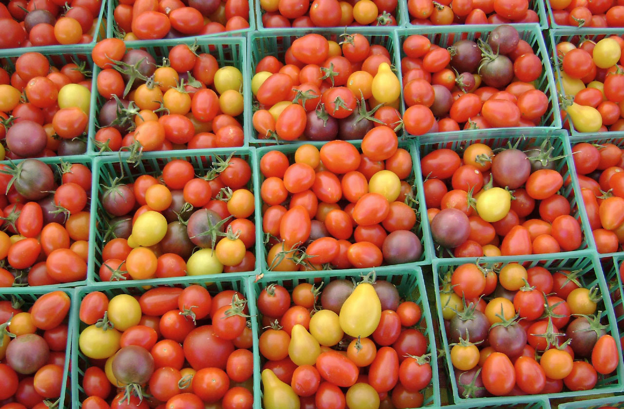 cherry tomatoes tomato free photo