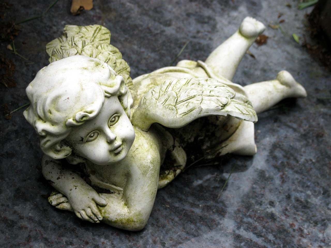 cherub angel cemetery free photo