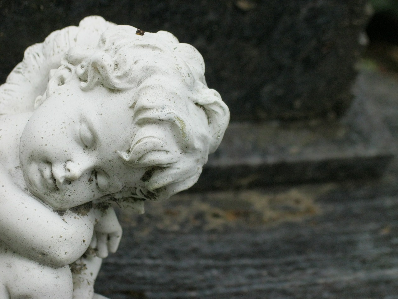 cherub cemetery angel free photo