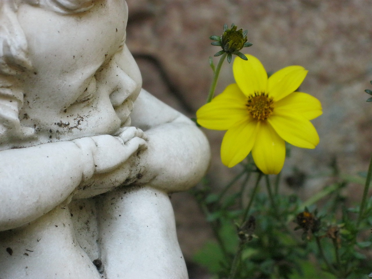 cherub cemetery nature free photo