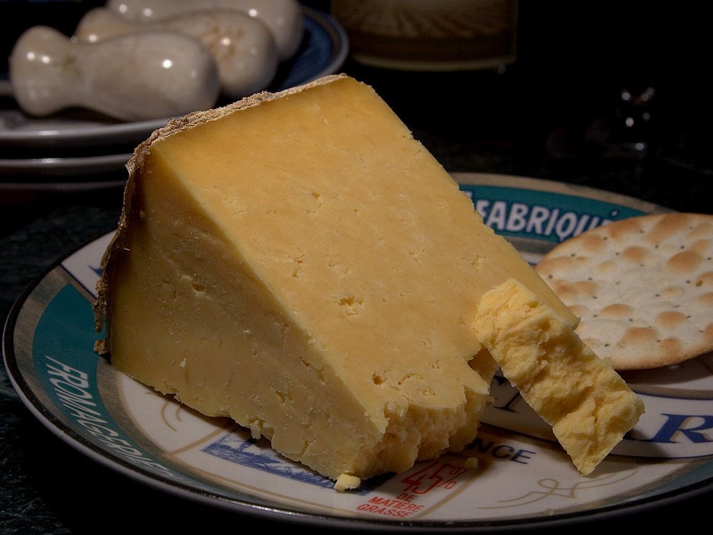 cheshire cheese milk product free photo