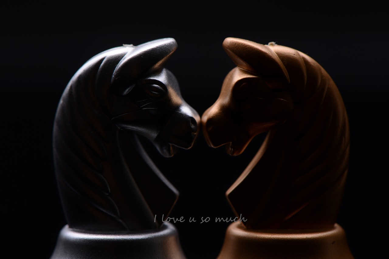 chess love story free photo