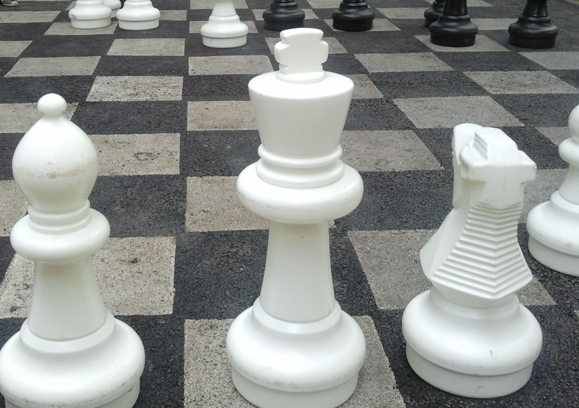 chess pieces chess chess free photo