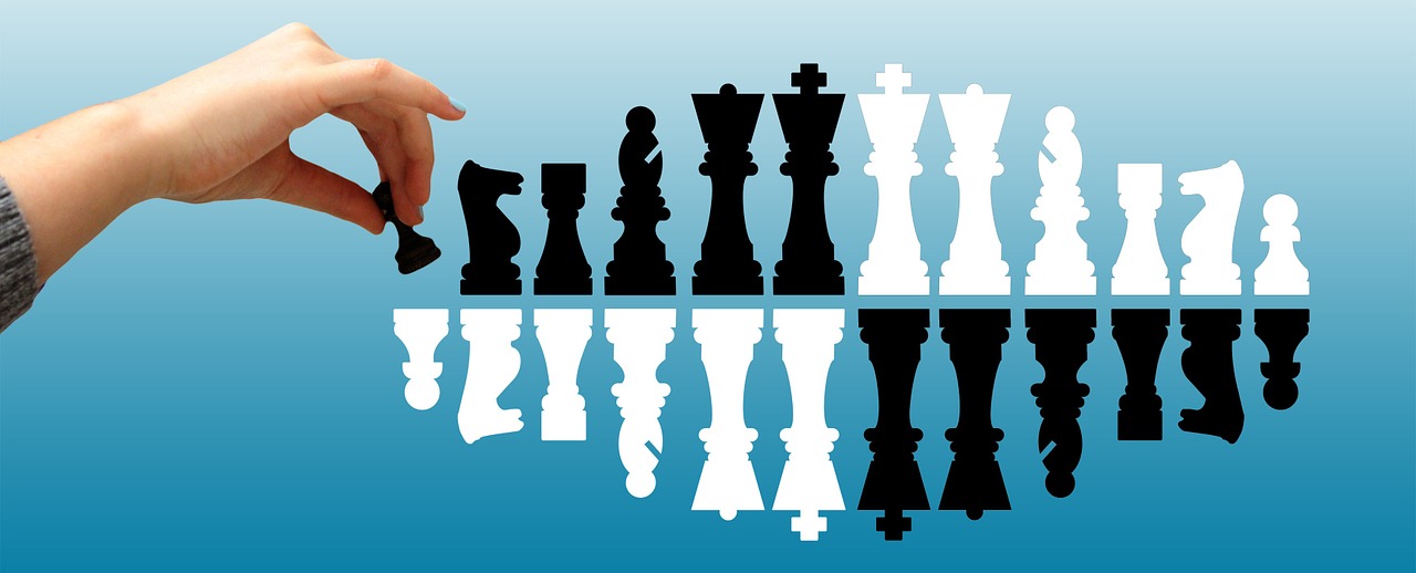 chess bauer hand free photo