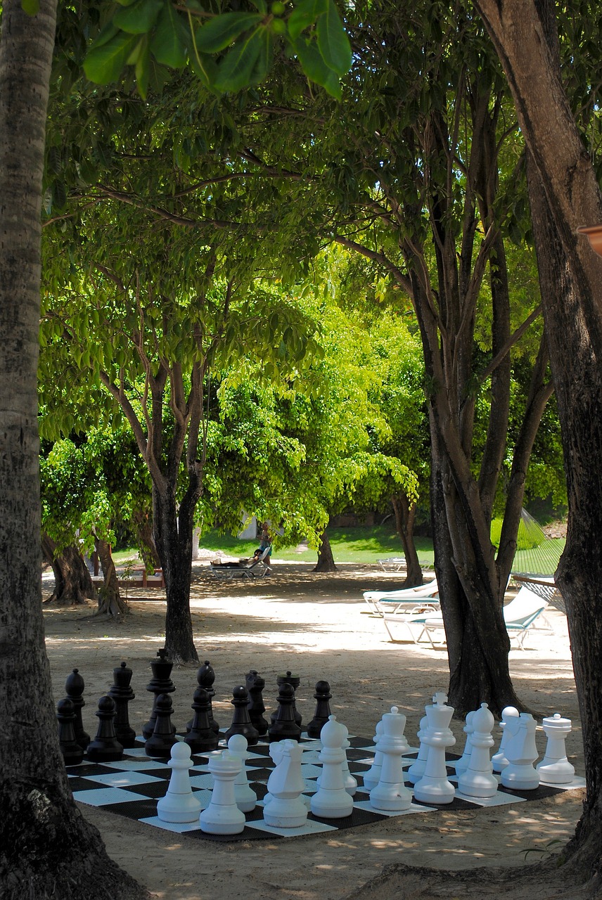 chess game beach free photo