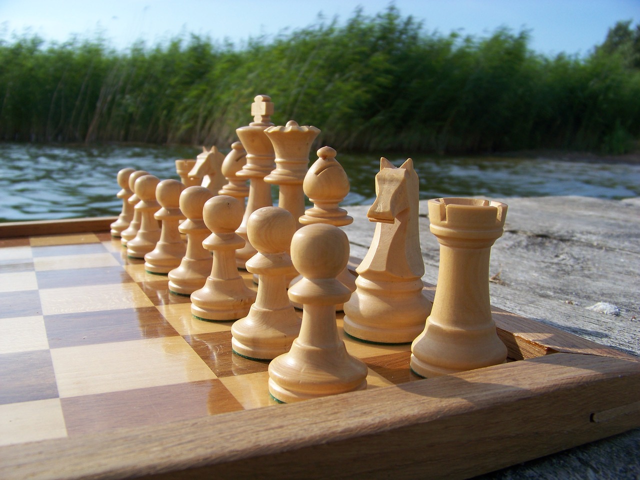 chess chess pieces the basic position free photo