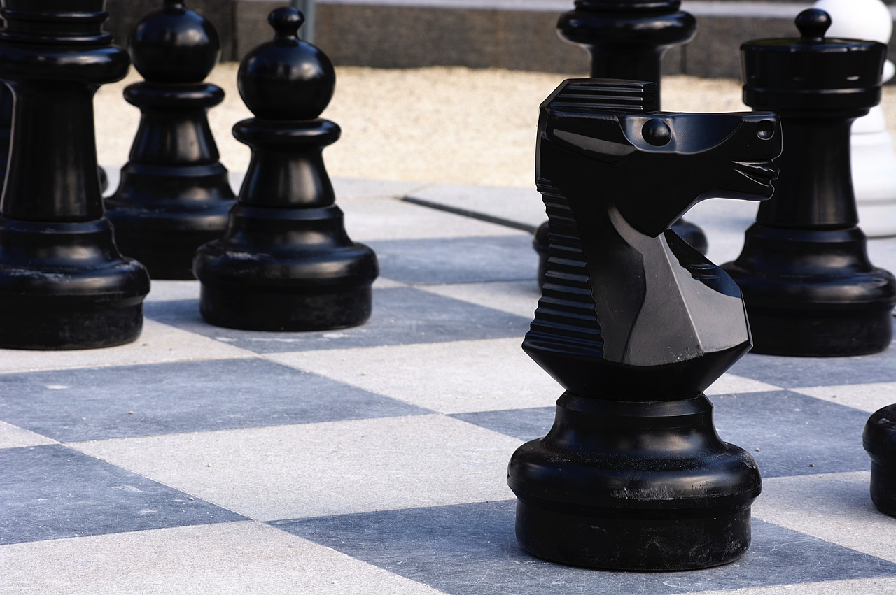 chess knight black free photo