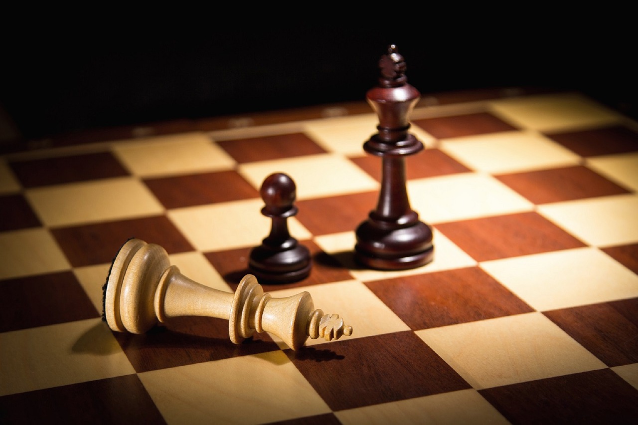 chess king mat free photo