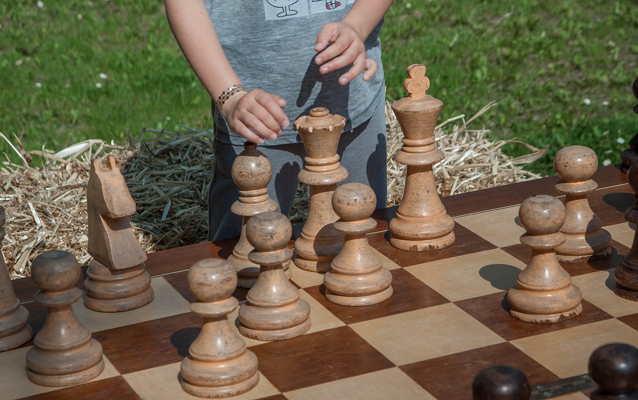 chess  pawn  strategy free photo