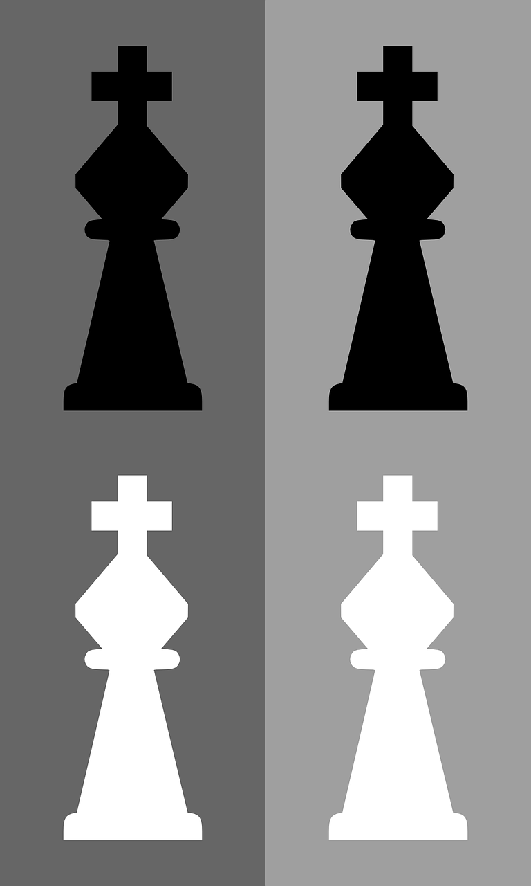 chess king meeple free photo