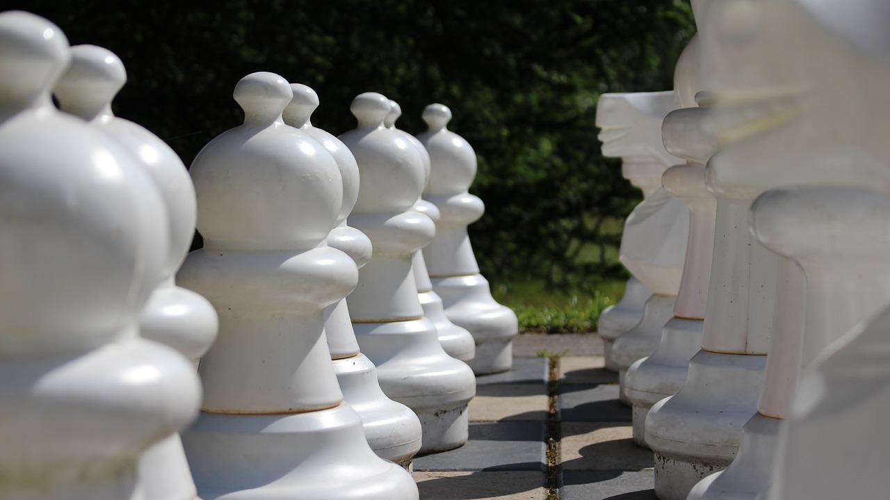 chess  chess board  park free photo