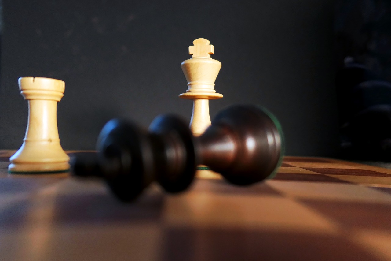 chess  denksport  mind game free photo