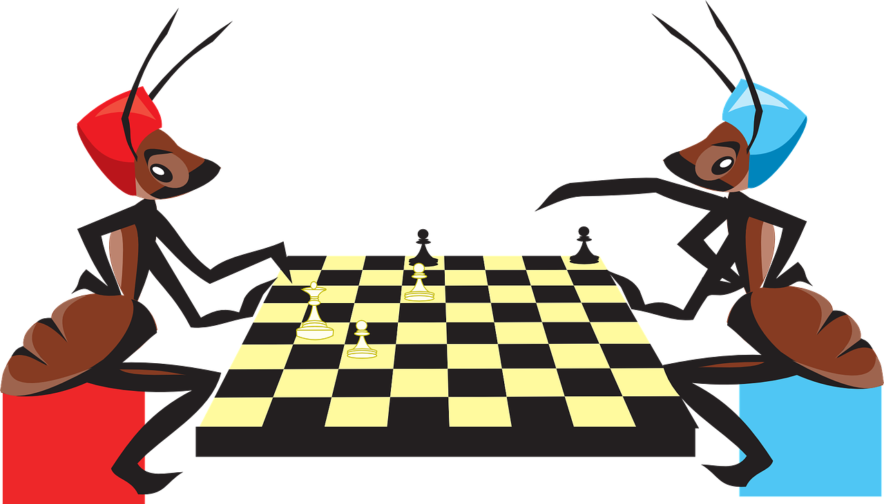 chess game playing free photo