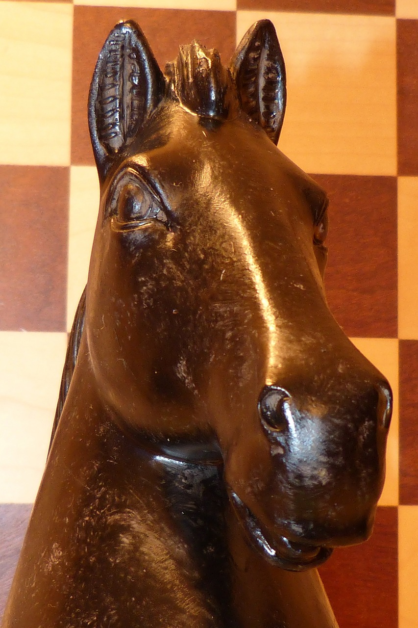 chess springer horse free photo